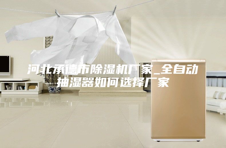 河北承德市除湿机厂家_全自动抽湿器如何选择厂家
