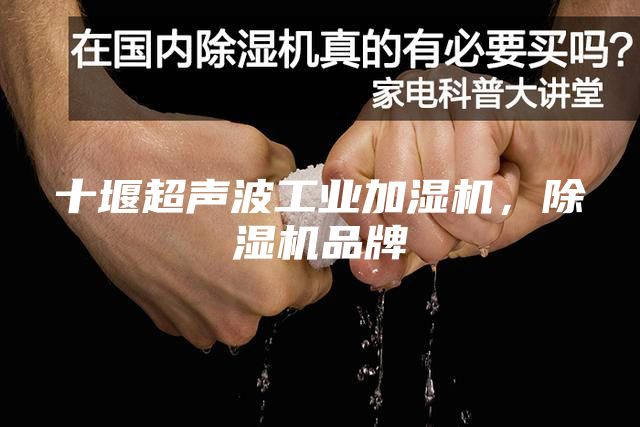十堰超声波工业加湿机，除湿机品牌
