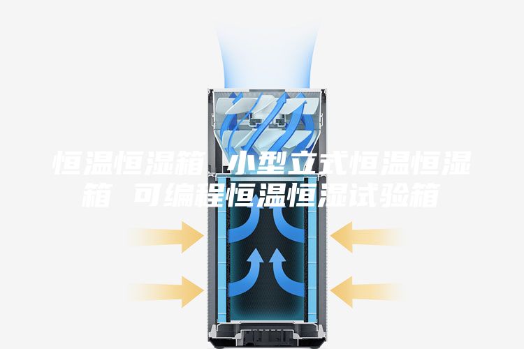 恒温恒湿箱 小型立式恒温恒湿箱 可编程恒温恒湿试验箱