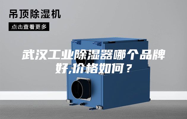 武汉工业除湿器哪个品牌好,价格如何？