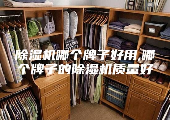 除湿机哪个牌子好用,哪个牌子的除湿机质量好