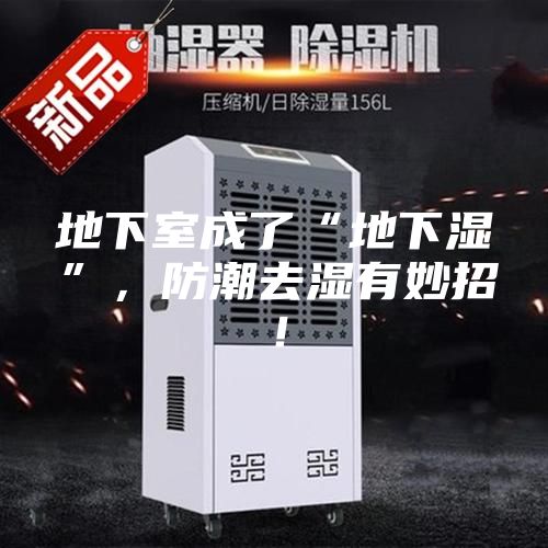 地下室成了“地下湿”，防潮去湿有妙招！