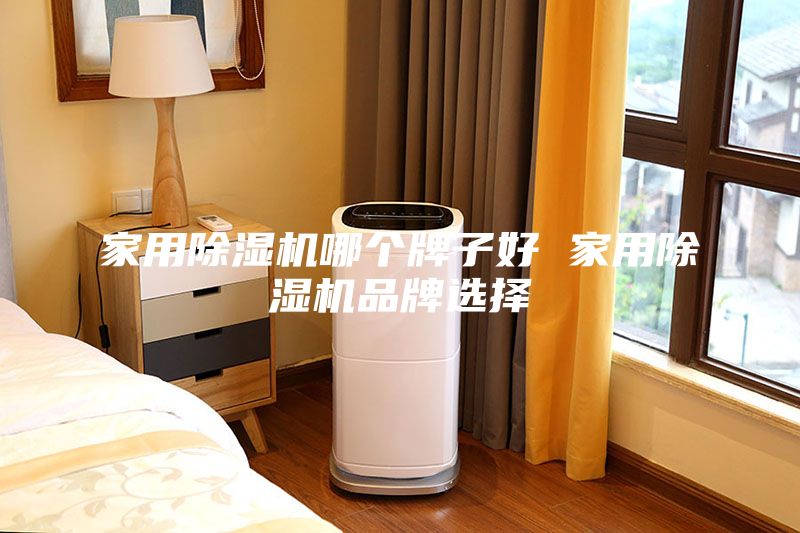 家用除湿机哪个牌子好 家用除湿机品牌选择