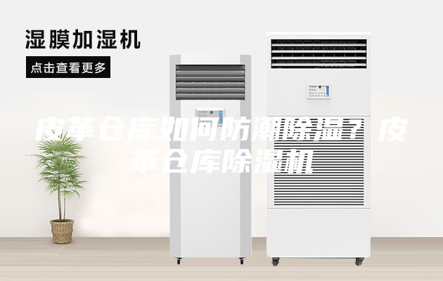 皮革仓库如何防潮除湿？皮革仓库除湿机