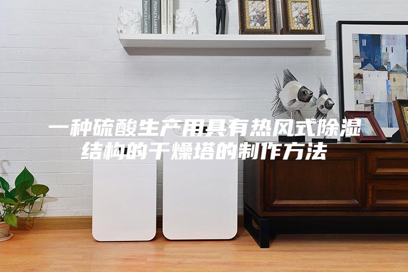 一种硫酸生产用具有热风式除湿结构的干燥塔的制作方法