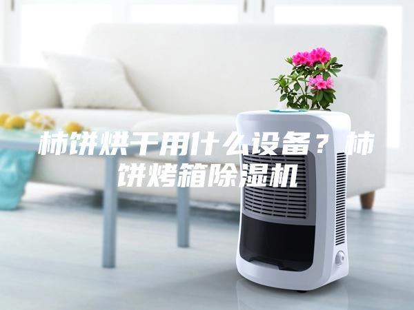 柿饼烘干用什么设备？柿饼烤箱除湿机