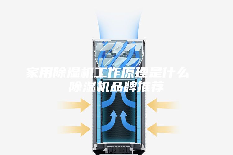 家用除湿机工作原理是什么  除湿机品牌推荐