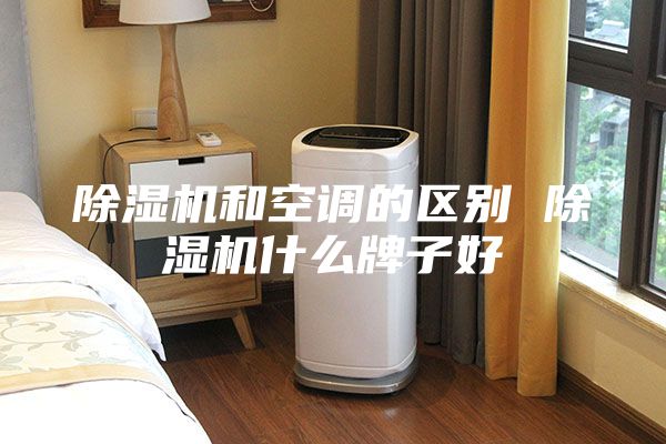 除湿机和空调的区别 除湿机什么牌子好