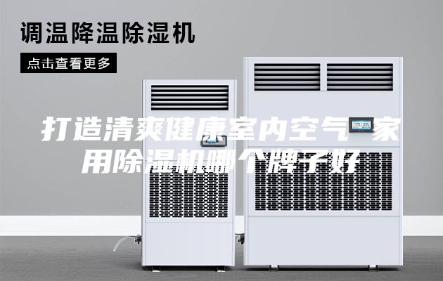 打造清爽健康室内空气 家用除湿机哪个牌子好