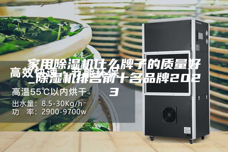 家用除湿机什么牌子的质量好_除湿机排名前十名品牌2023