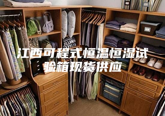 江西可程式恒温恒湿试验箱现货供应