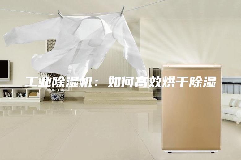 工业除湿机：如何高效烘干除湿