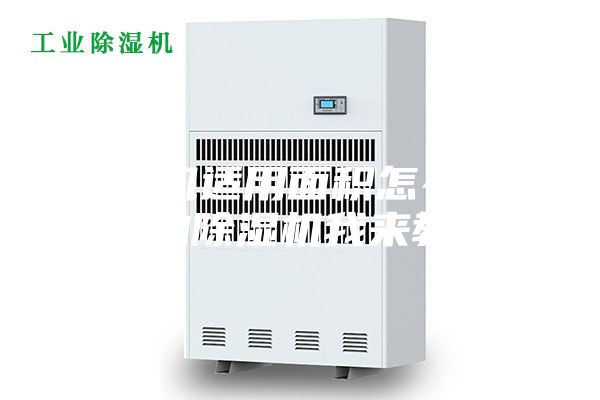 除湿机适用面积怎么看？选购除湿机我来教你