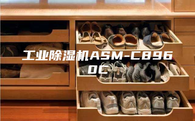 工业除湿机ASM-C8960C
