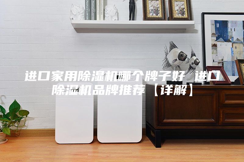 进口家用除湿机哪个牌子好 进口除湿机品牌推荐【详解】