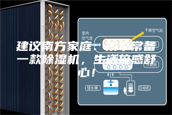建议南方家庭：雨季常备一款除湿机，生活倍感舒心！