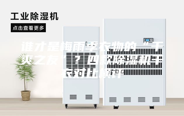 谁才是梅雨季衣物的“干爽之友”？四款除湿机干衣对比横评