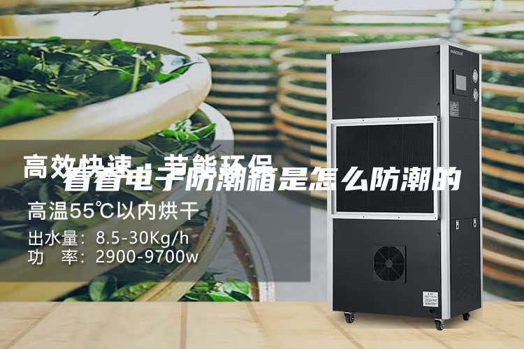 看看电子防潮箱是怎么防潮的