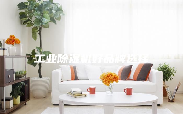 工业除湿机好品牌选择