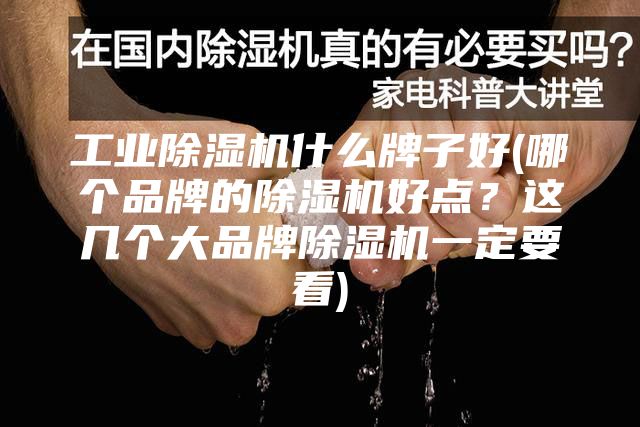 工业除湿机什么牌子好(哪个品牌的除湿机好点？这几个大品牌除湿机一定要看)