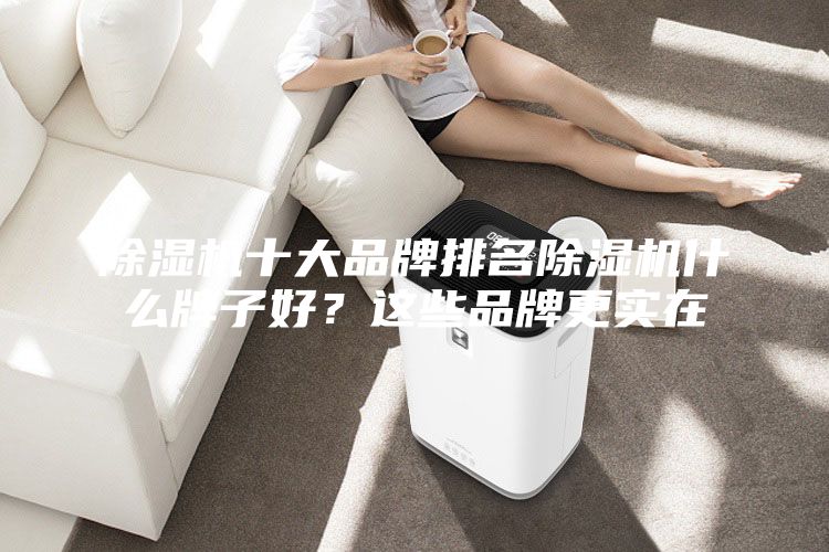 除湿机十大品牌排名除湿机什么牌子好？这些品牌更实在