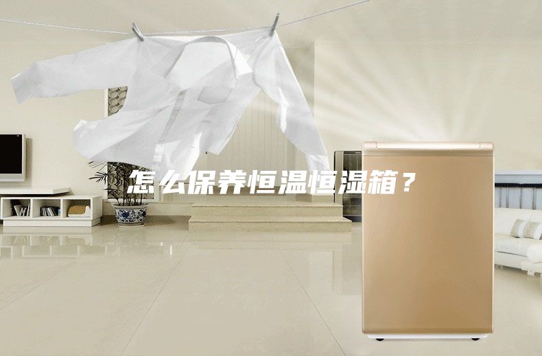 怎么保养恒温恒湿箱？