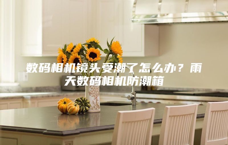 数码相机镜头受潮了怎么办？雨天数码相机防潮箱