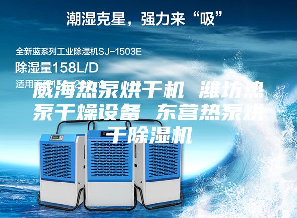 威海热泵烘干机 潍坊热泵干燥设备 东营热泵烘干除湿机