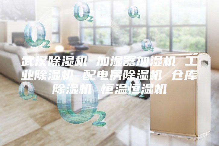 武汉除湿机 加湿器加湿机 工业除湿机 配电房除湿机 仓库除湿机 恒温恒湿机