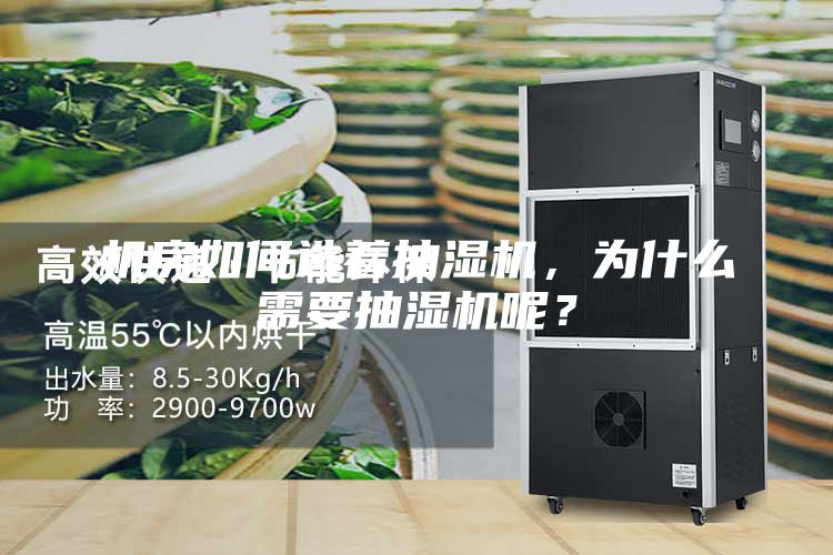 机房如何选着抽湿机，为什么需要抽湿机呢？