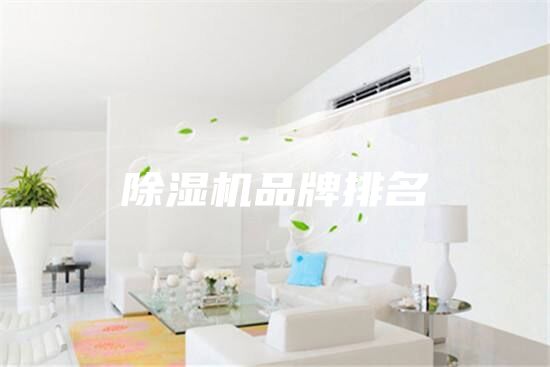 除湿机品牌排名