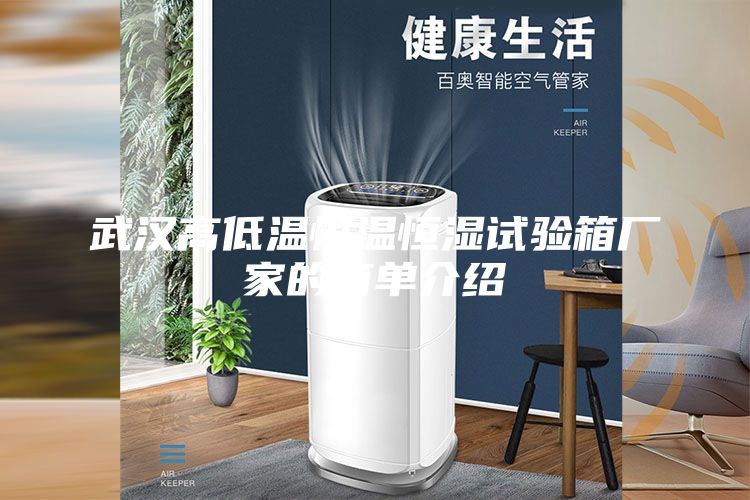 武汉高低温恒温恒湿试验箱厂家的简单介绍