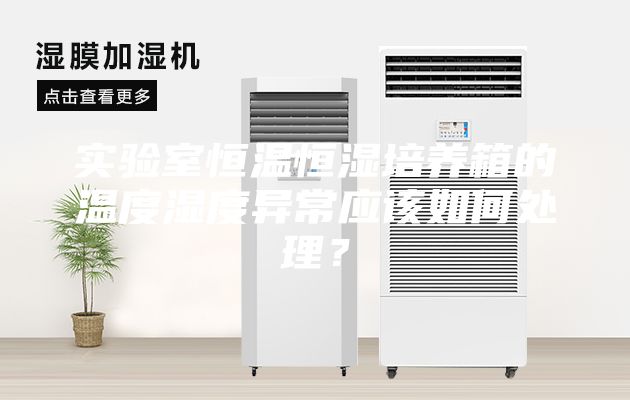 实验室恒温恒湿培养箱的温度湿度异常应该如何处理？