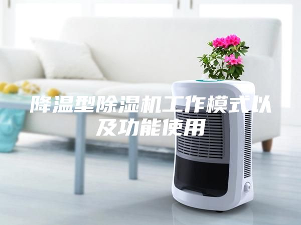 降温型除湿机工作模式以及功能使用