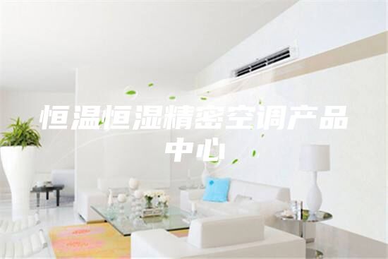 恒温恒湿精密空调产品中心