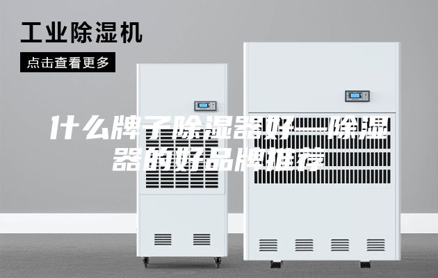 什么牌子除湿器好—除湿器的好品牌推荐