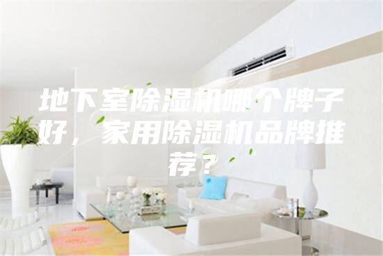 地下室除湿机哪个牌子好，家用除湿机品牌推荐？
