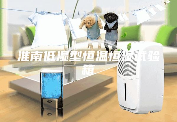 淮南低湿型恒温恒湿试验箱