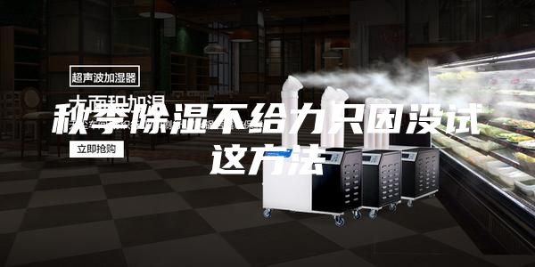 秋季除湿不给力只因没试这方法