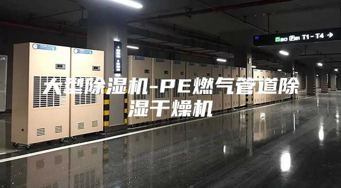大型除湿机-PE燃气管道除湿干燥机