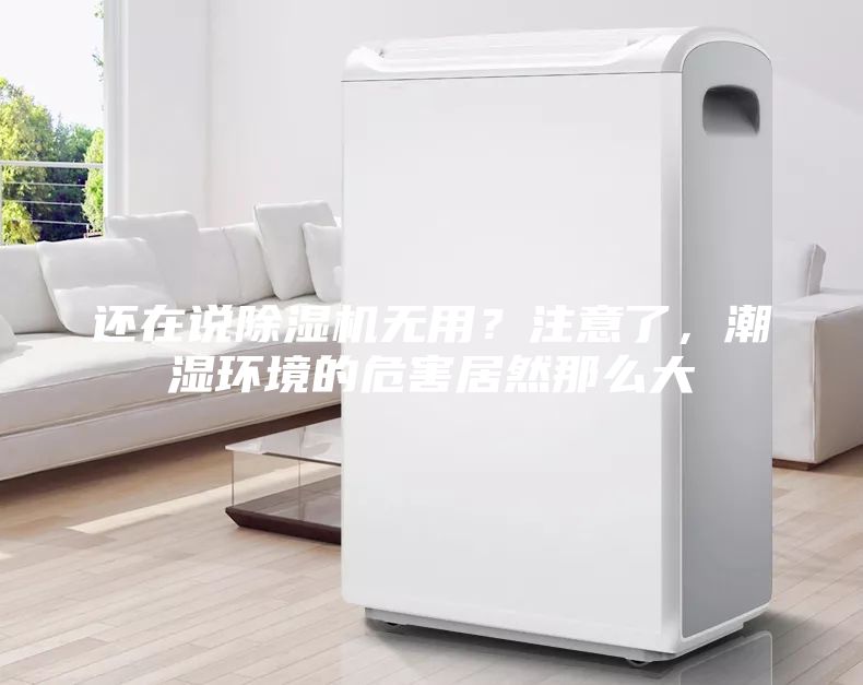 还在说除湿机无用？注意了，潮湿环境的危害居然那么大