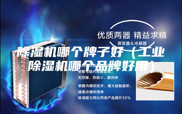 除湿机哪个牌子好（工业除湿机哪个品牌好用）
