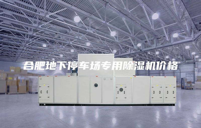 合肥地下停车场专用除湿机价格