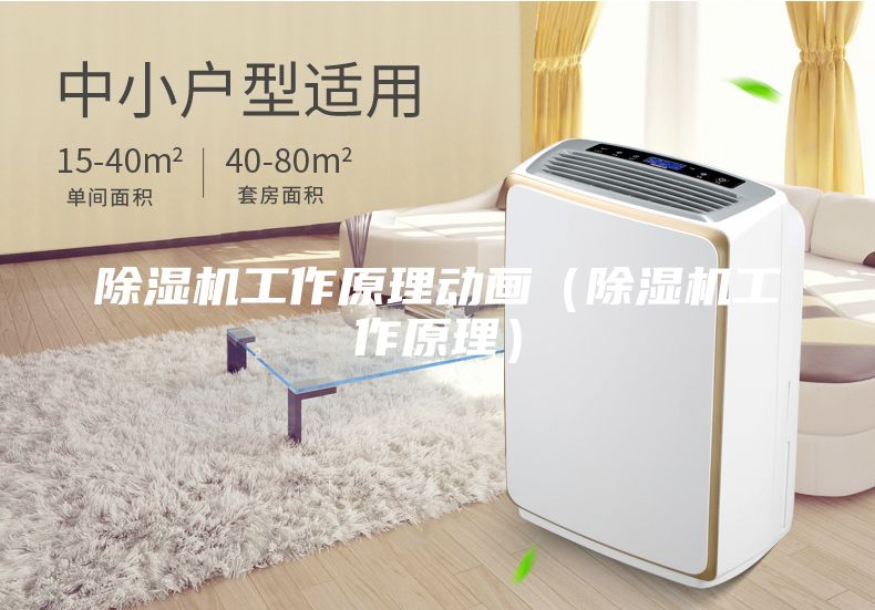 除湿机工作原理动画（除湿机工作原理）
