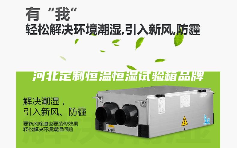 河北定制恒温恒湿试验箱品牌