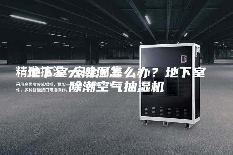地下室太潮湿怎么办？地下室除潮空气抽湿机