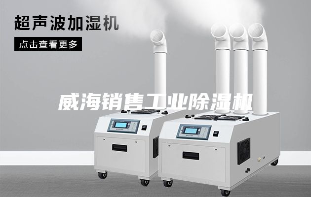 威海销售工业除湿机