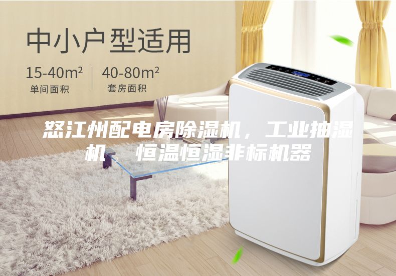 怒江州配电房除湿机，工业抽湿机  恒温恒湿非标机器