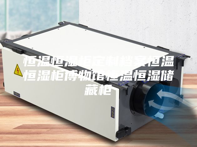 恒温恒湿柜定制档案恒温恒湿柜博物馆恒温恒湿储藏柜