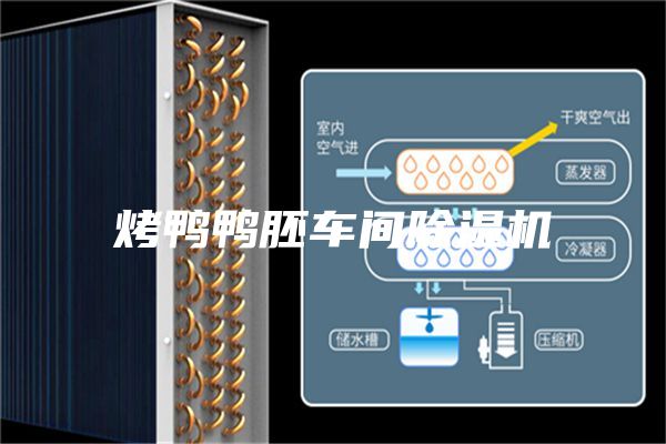 烤鸭鸭胚车间除湿机